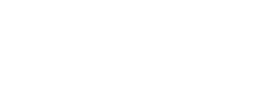 BDCDS LOGO SMALL2 - Emily Quinton.png