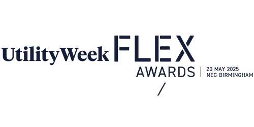 FLEX AWARDS LOGO - Charlotte Pattenden.png